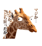 うざいキリン（個別スタンプ：29）
