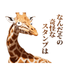 うざいキリン（個別スタンプ：32）