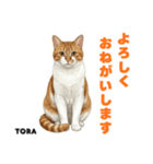 「猫の寅吉ちゃん挨拶スタンプ」（個別スタンプ：3）