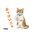 「猫の寅吉ちゃん挨拶スタンプ」（個別スタンプ：6）