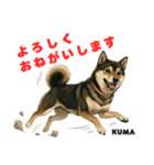 「犬の熊吉ちゃん挨拶スタンプ」（個別スタンプ：1）