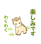 子馬たちの毎日＆年末年始（個別スタンプ：23）
