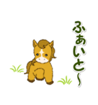 子馬たちの毎日＆年末年始（個別スタンプ：25）