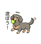 名前入りダックスロングイザベラタン（個別スタンプ：1）