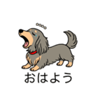 名前入りダックスロングイザベラタン（個別スタンプ：3）