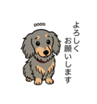 名前入りダックスロングイザベラタン（個別スタンプ：4）