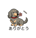 名前入りダックスロングイザベラタン（個別スタンプ：5）