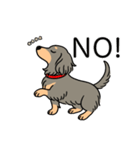 名前入りダックスロングイザベラタン（個別スタンプ：8）