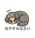 名前入りダックスロングイザベラタン（個別スタンプ：9）