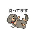 名前入りダックスロングイザベラタン（個別スタンプ：10）