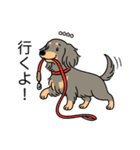 名前入りダックスロングイザベラタン（個別スタンプ：11）