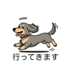 名前入りダックスロングイザベラタン（個別スタンプ：13）