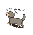 名前入りダックスロングイザベラタン（個別スタンプ：14）