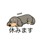 名前入りダックスロングイザベラタン（個別スタンプ：16）