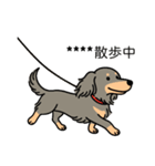 名前入りダックスロングイザベラタン（個別スタンプ：17）