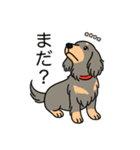 名前入りダックスロングイザベラタン（個別スタンプ：20）