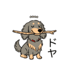 名前入りダックスロングイザベラタン（個別スタンプ：21）