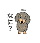 名前入りダックスロングイザベラタン（個別スタンプ：22）