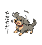 名前入りダックスロングイザベラタン（個別スタンプ：23）