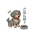 名前入りダックスロングイザベラタン（個別スタンプ：24）