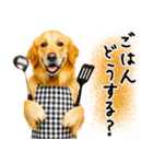 ゴールデンレトリバー★毎日使う質問疑問？（個別スタンプ：4）
