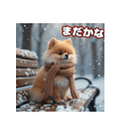ぽめぽめ日和♪癒しの日常スタンプ3 冬（個別スタンプ：24）