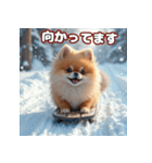 ぽめぽめ日和♪癒しの日常スタンプ3 冬（個別スタンプ：27）