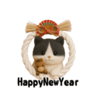 午年ハチワレ猫の冬＆年末年始スタンプ（個別スタンプ：8）