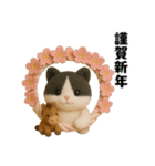 午年ハチワレ猫の冬＆年末年始スタンプ（個別スタンプ：9）