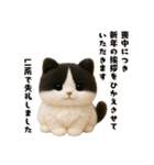 午年ハチワレ猫の冬＆年末年始スタンプ（個別スタンプ：18）