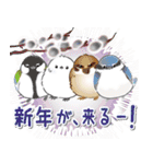 シマエナガ⭐︎シーちゃん達の年末年始/改（個別スタンプ：19）