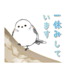 シマエナガ⭐︎シーちゃん達の年末年始/改（個別スタンプ：37）