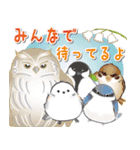 シマエナガ⭐︎シーちゃん達の年末年始/改（個別スタンプ：40）