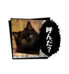 Renapyon4（個別スタンプ：2）