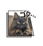 Renapyon4（個別スタンプ：8）