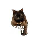 Renapyon4（個別スタンプ：9）