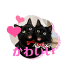 Renapyon4（個別スタンプ：10）