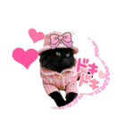 Renapyon4（個別スタンプ：11）