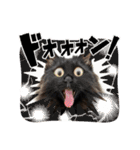 Renapyon4（個別スタンプ：12）