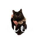 Renapyon4（個別スタンプ：14）