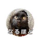 Renapyon4（個別スタンプ：17）