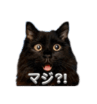 Renapyon4（個別スタンプ：19）