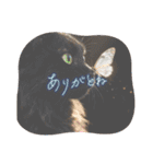 Renapyon4（個別スタンプ：21）