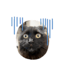 Renapyon4（個別スタンプ：22）