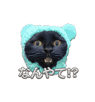 Renapyon4（個別スタンプ：24）