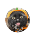 Renapyon4（個別スタンプ：28）