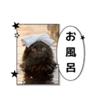 Renapyon4（個別スタンプ：29）