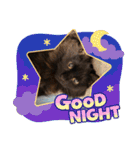 Renapyon4（個別スタンプ：30）