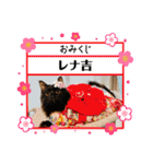 Renapyon4（個別スタンプ：34）