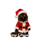 Renapyon4（個別スタンプ：35）